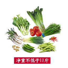 春天·农家蔬菜大礼包（2号蔬菜包）