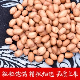 农家自产优质生花生米 2500g